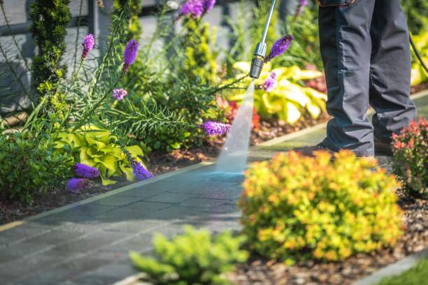 Best Fence Cleaning  in Stamps, AR